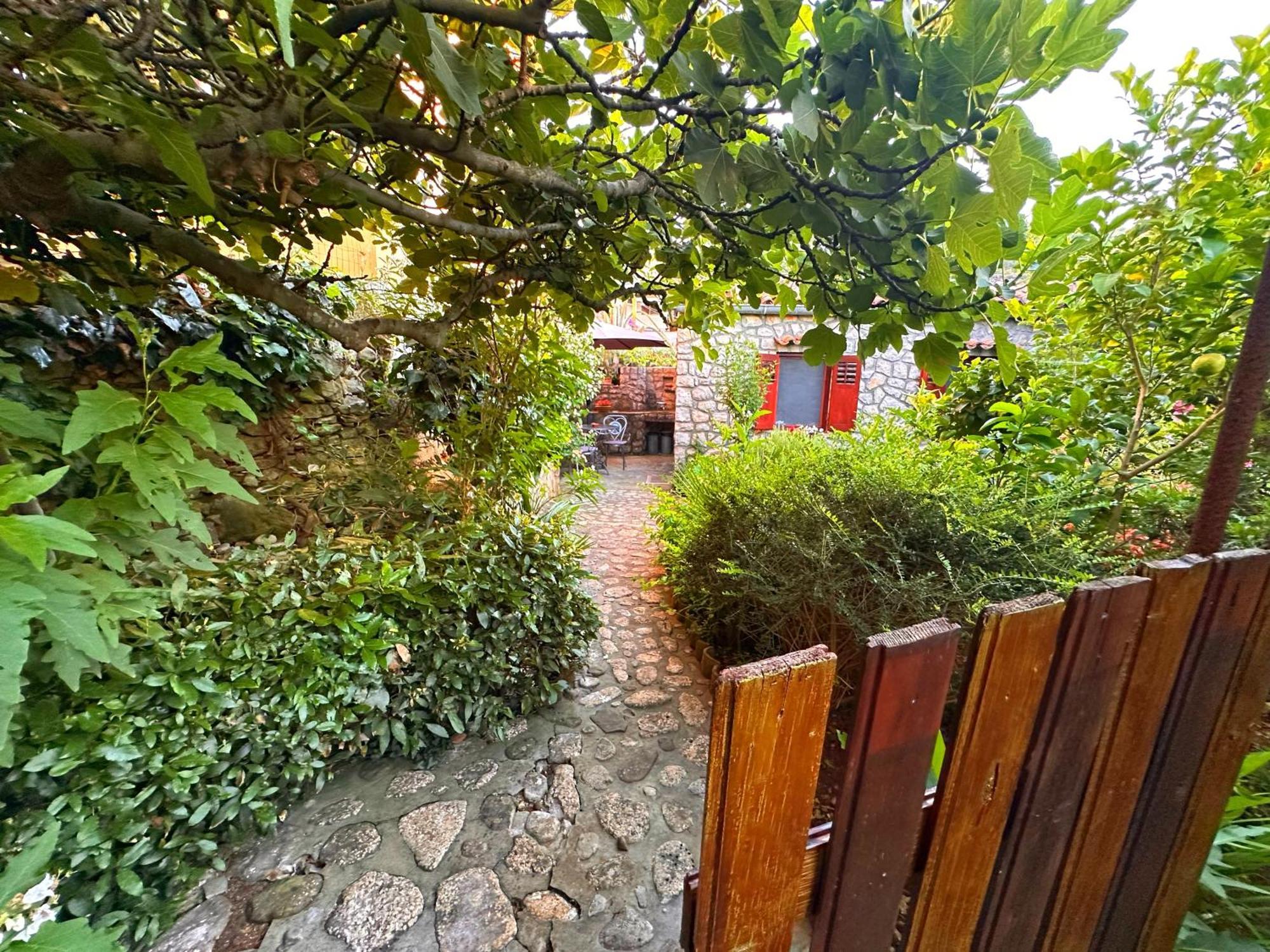 Apartments Cvita Veli Lošinj Kültér fotó