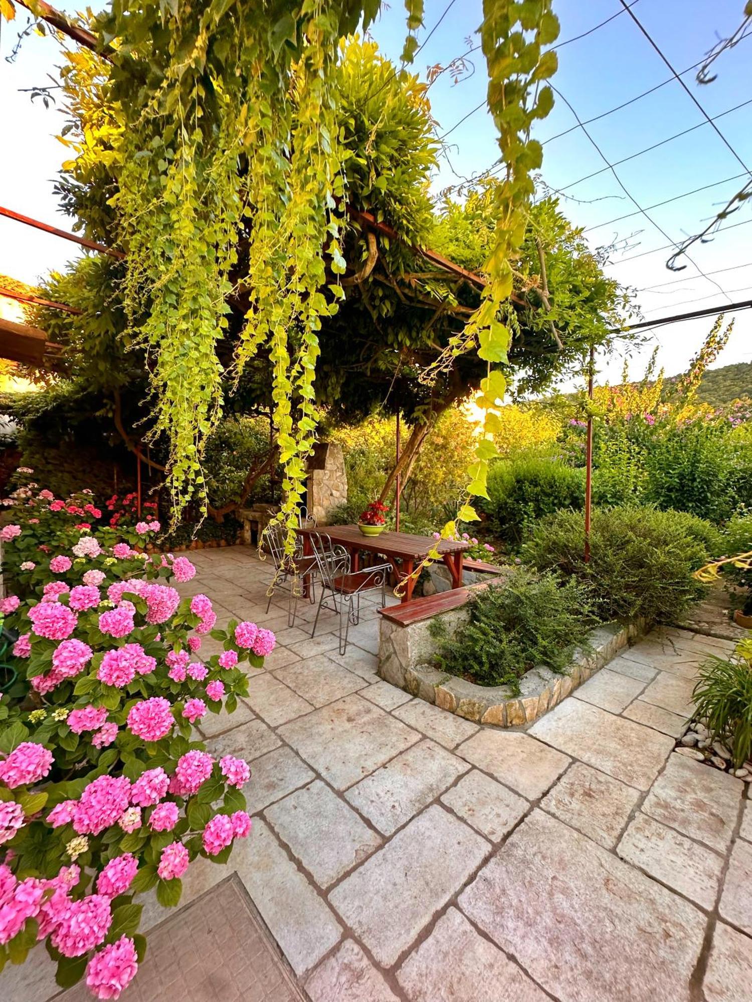 Apartments Cvita Veli Lošinj Kültér fotó