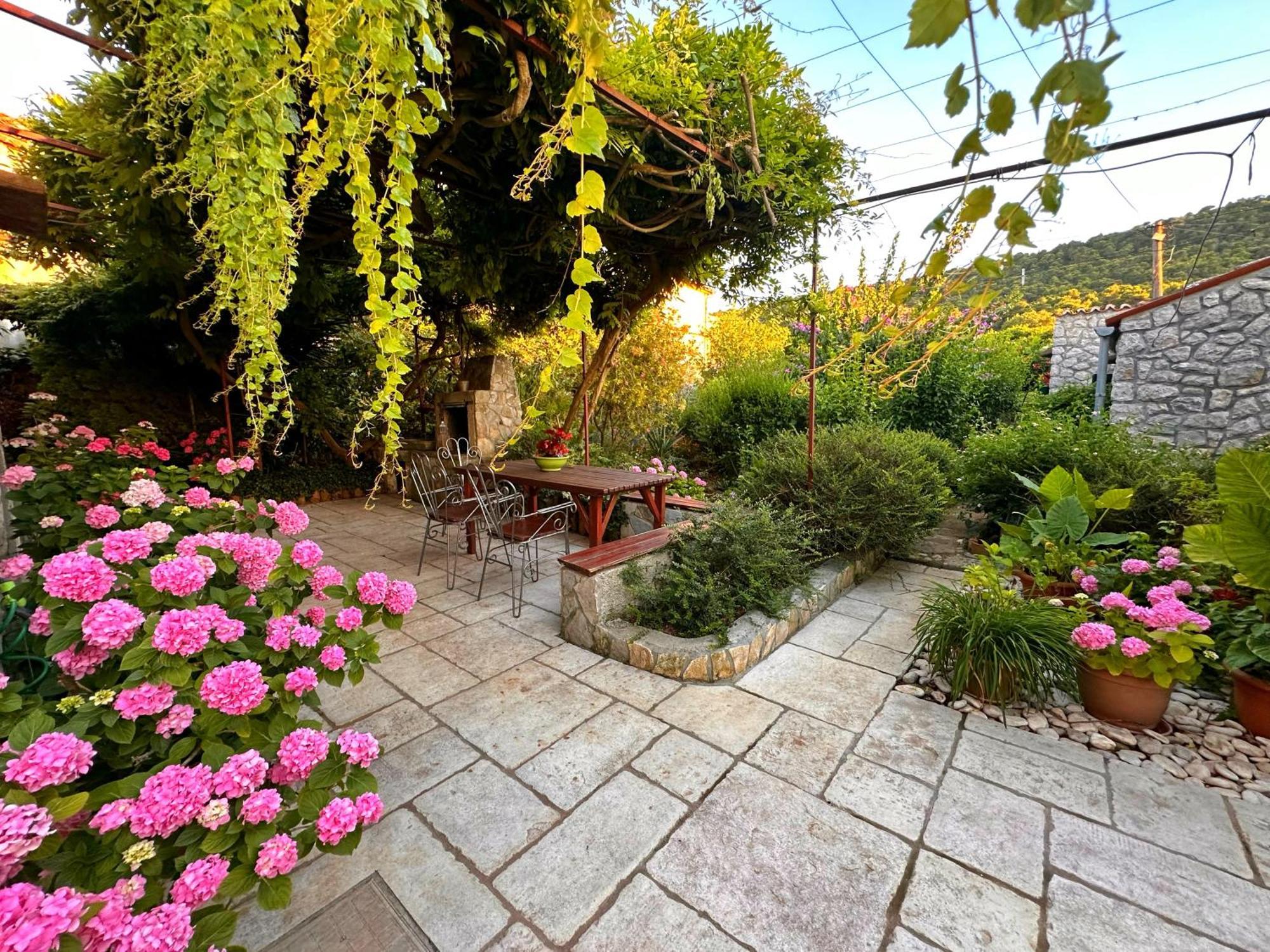 Apartments Cvita Veli Lošinj Kültér fotó