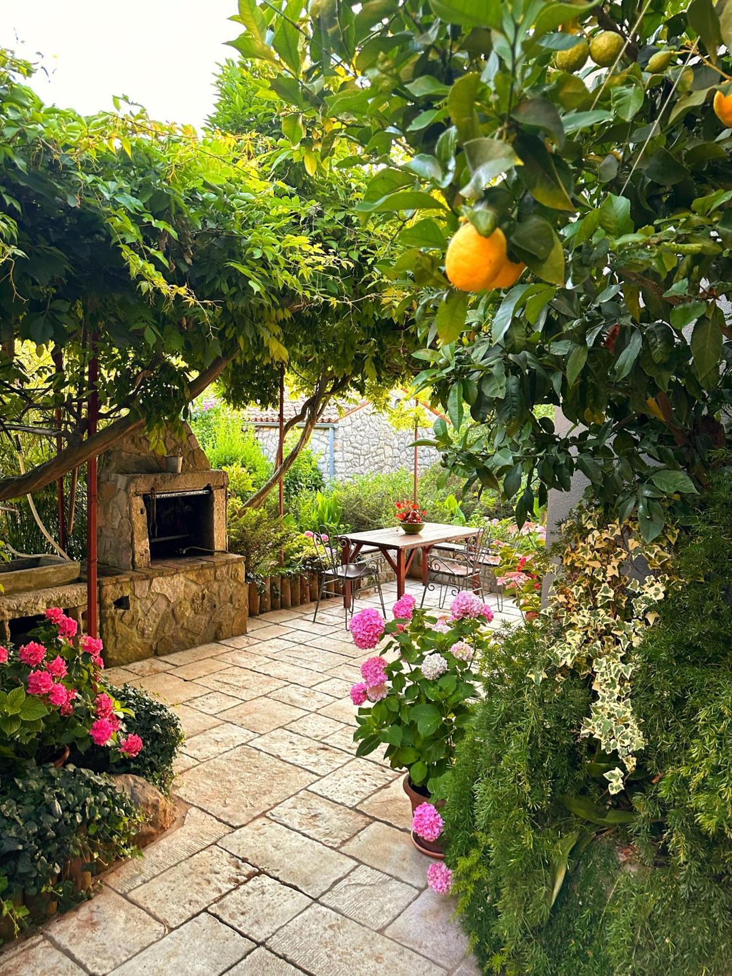 Apartments Cvita Veli Lošinj Kültér fotó