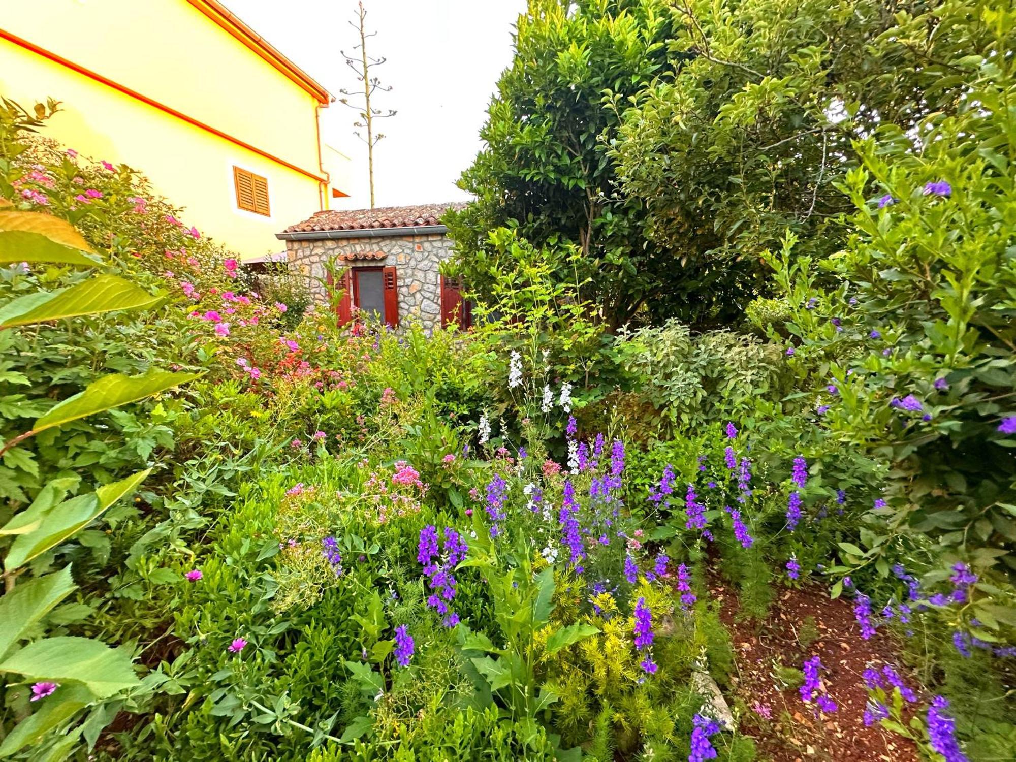 Apartments Cvita Veli Lošinj Kültér fotó