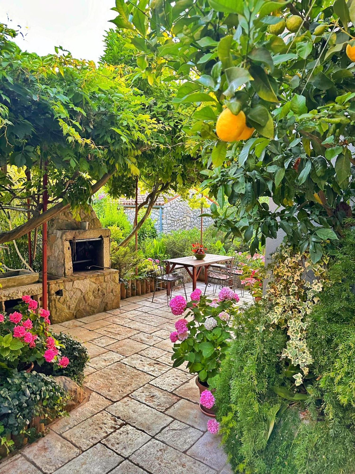 Apartments Cvita Veli Lošinj Kültér fotó