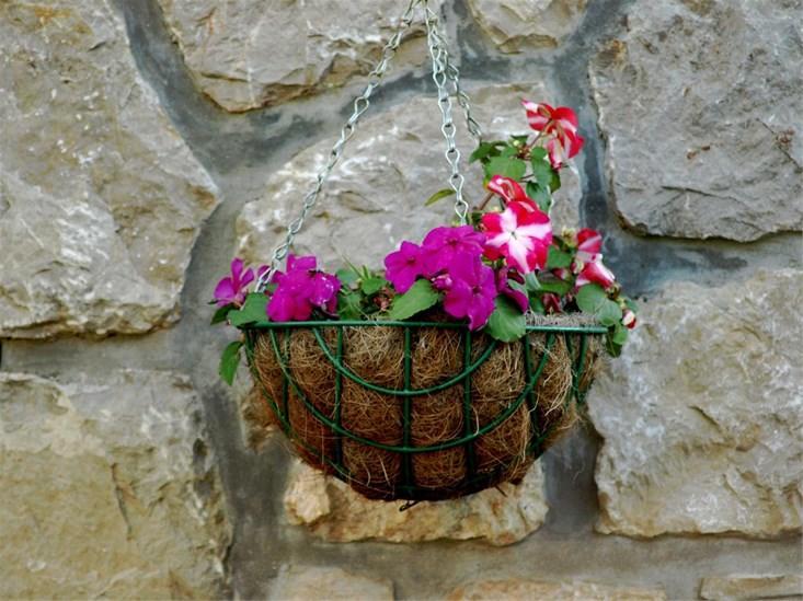 Apartments Cvita Veli Lošinj Kültér fotó
