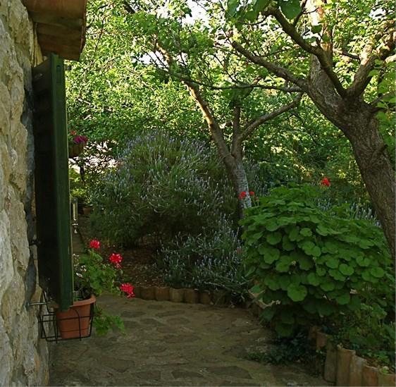 Apartments Cvita Veli Lošinj Kültér fotó